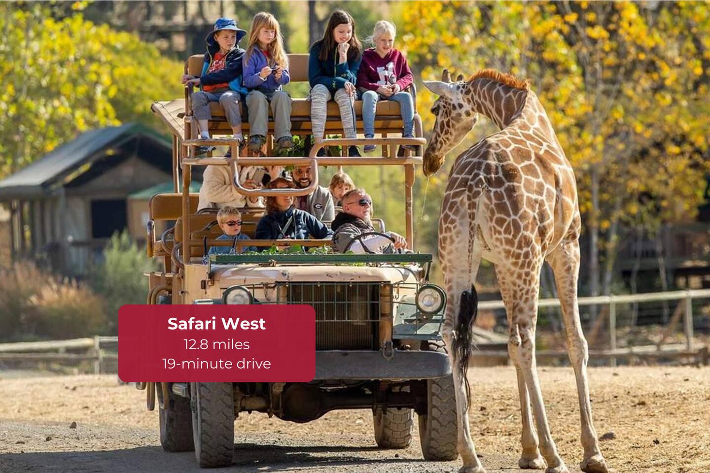 An African safari experience tucked into Sonoma.