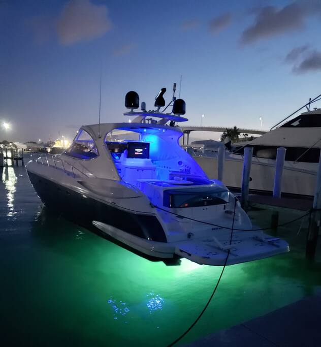 Best Location | Steps to Atlantis & Restaurants!