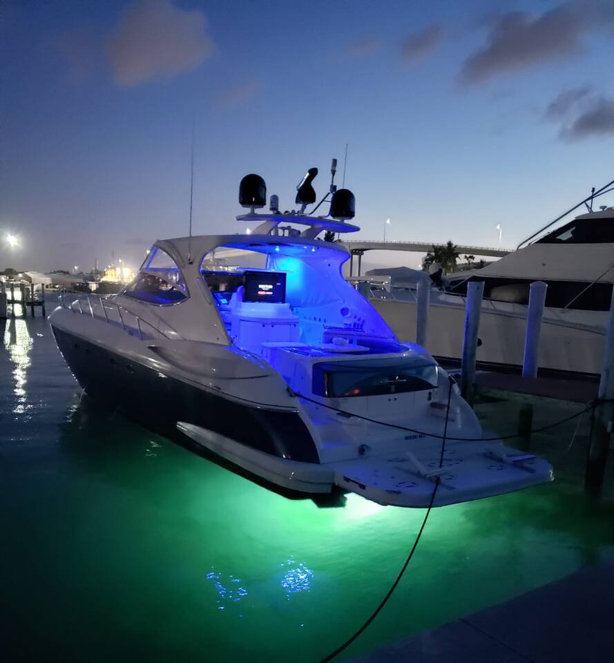 Best Location | Steps to Atlantis & Restaurants!