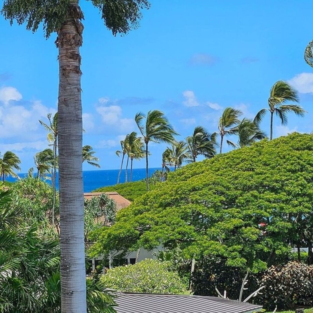 Your Aloha Home, unit 315 on Kauai's sunny side