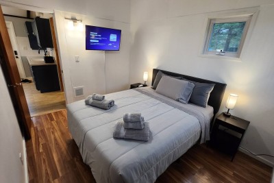 Queen bedroom with TV
