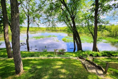 Creek and wetland from the backyard