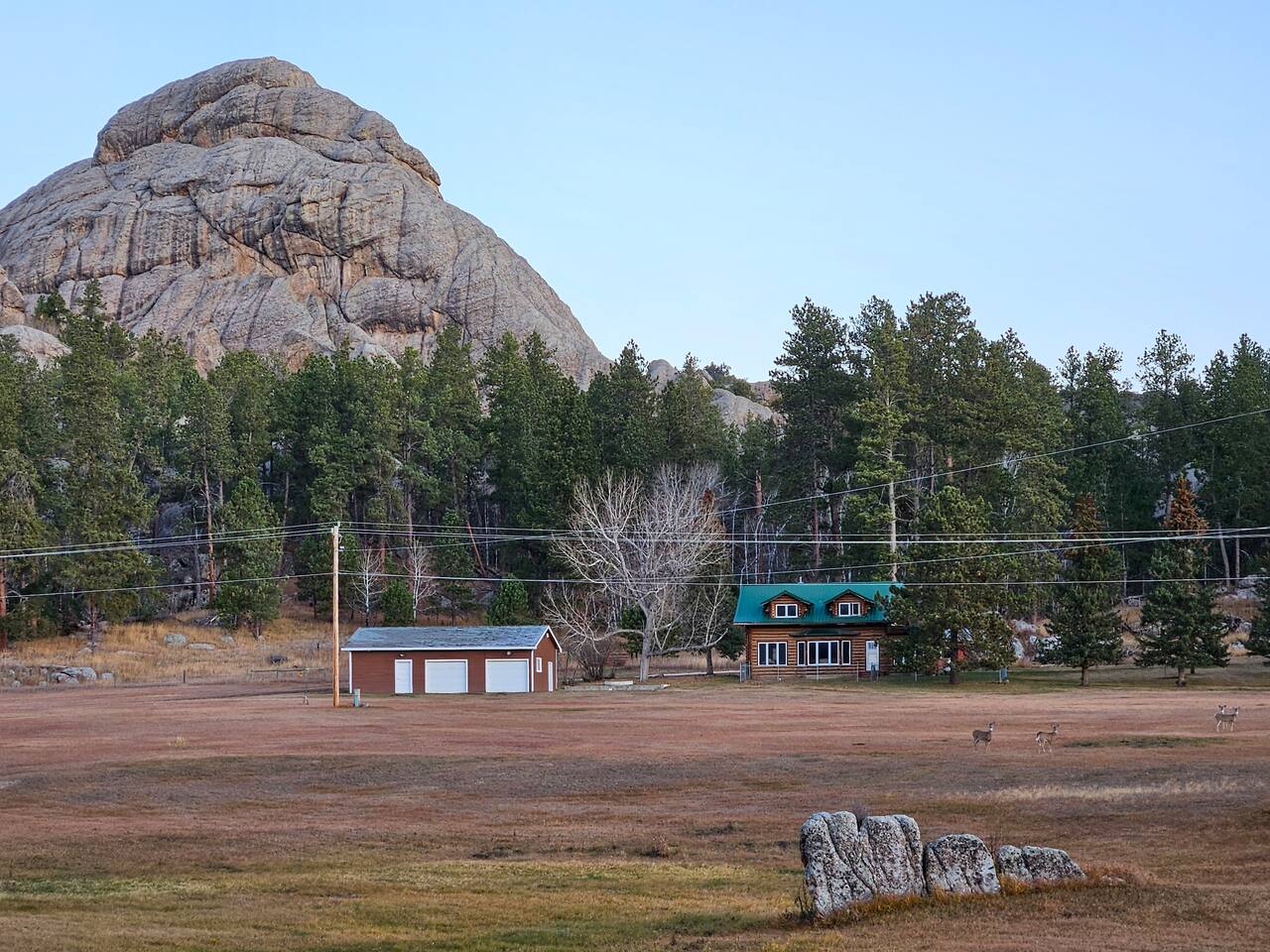 Wildlife & Wonders Custer's Hidden Gem!