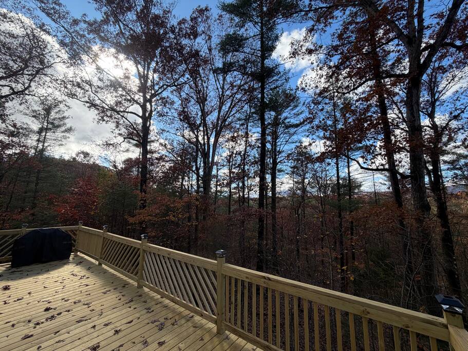 Papa's Mountain Retreat