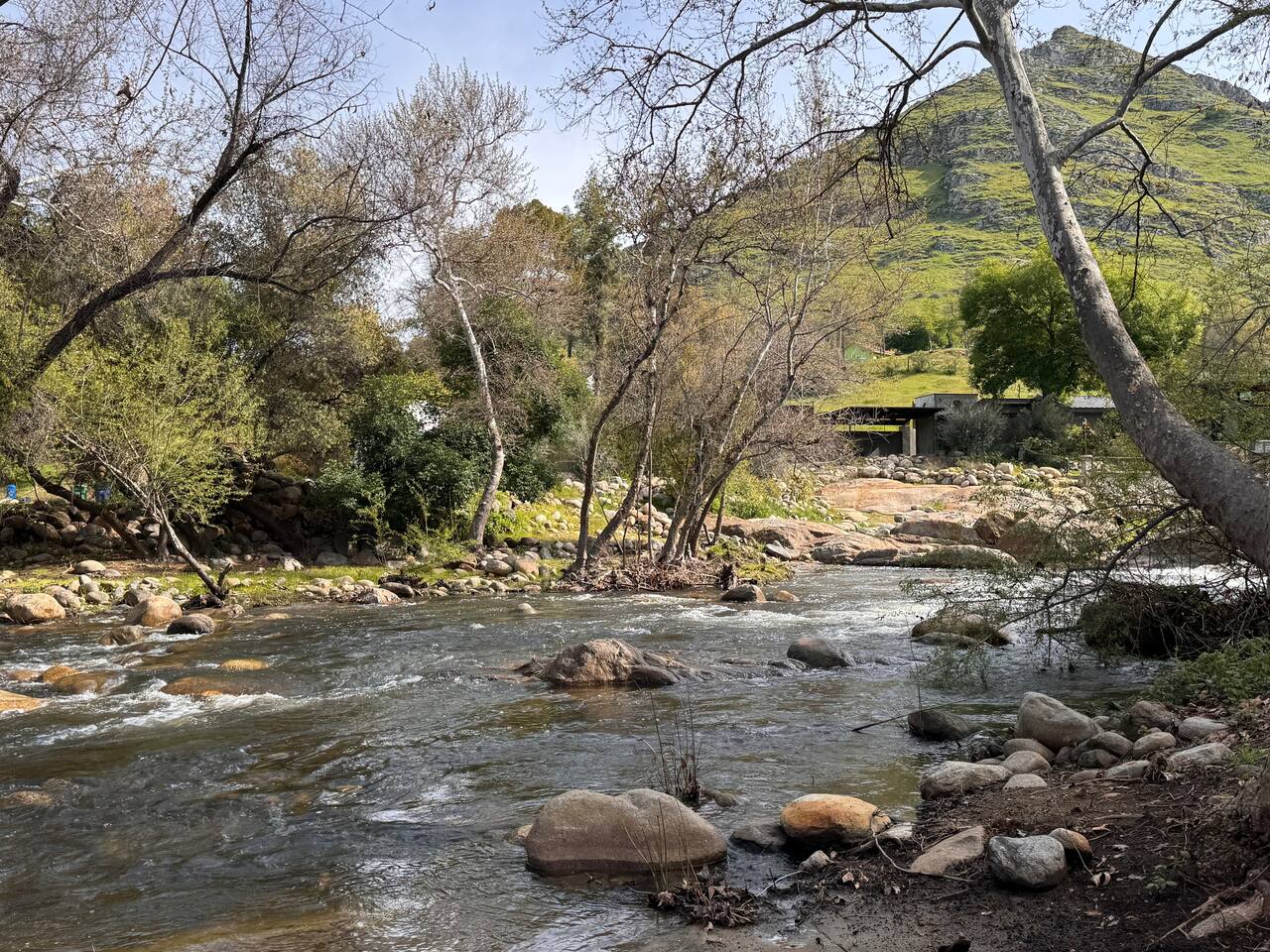 Sequoia Zen River House
