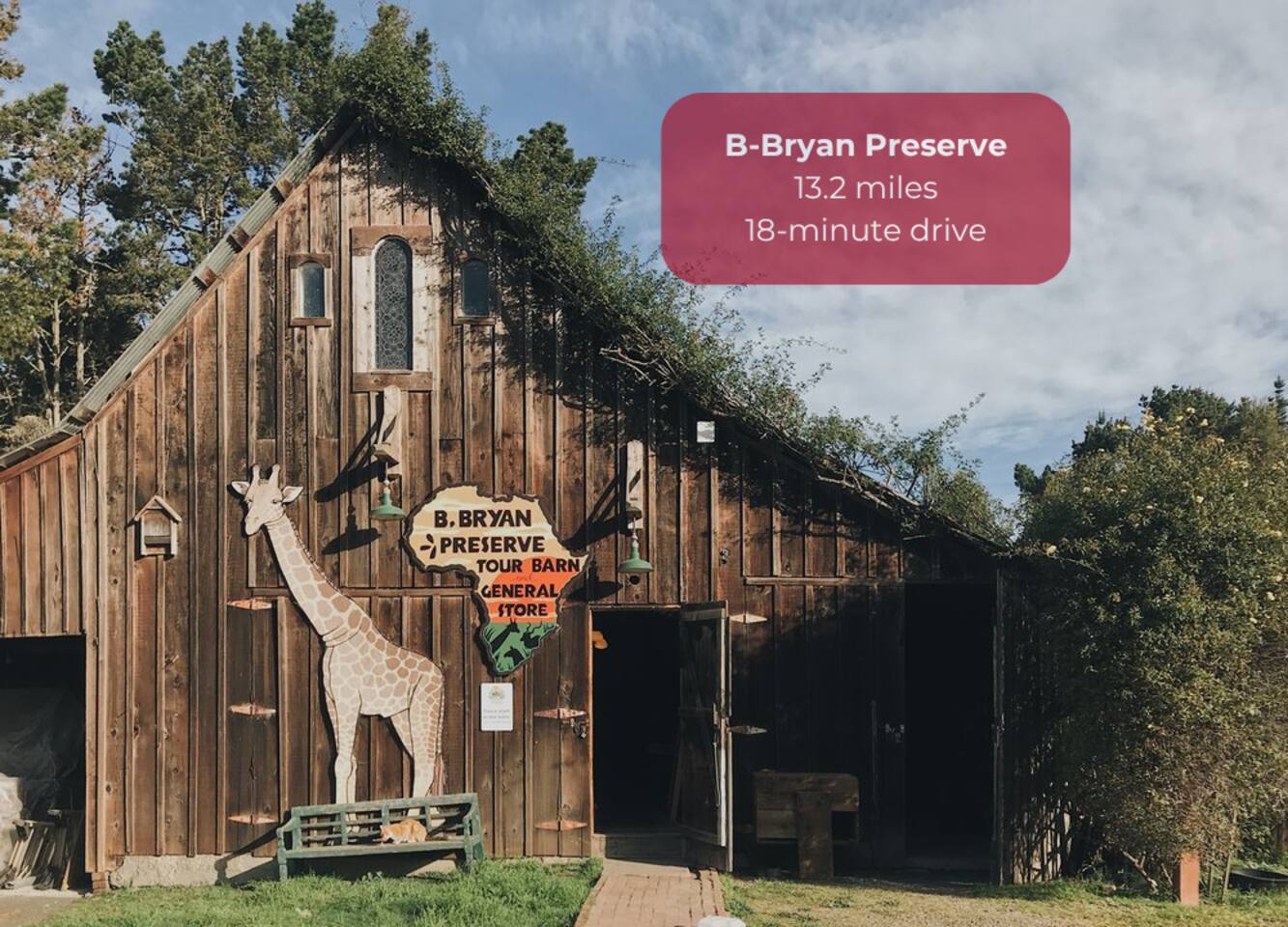 Take a safari-style tour and meet giraffes, zebras, and rare antelope up close!