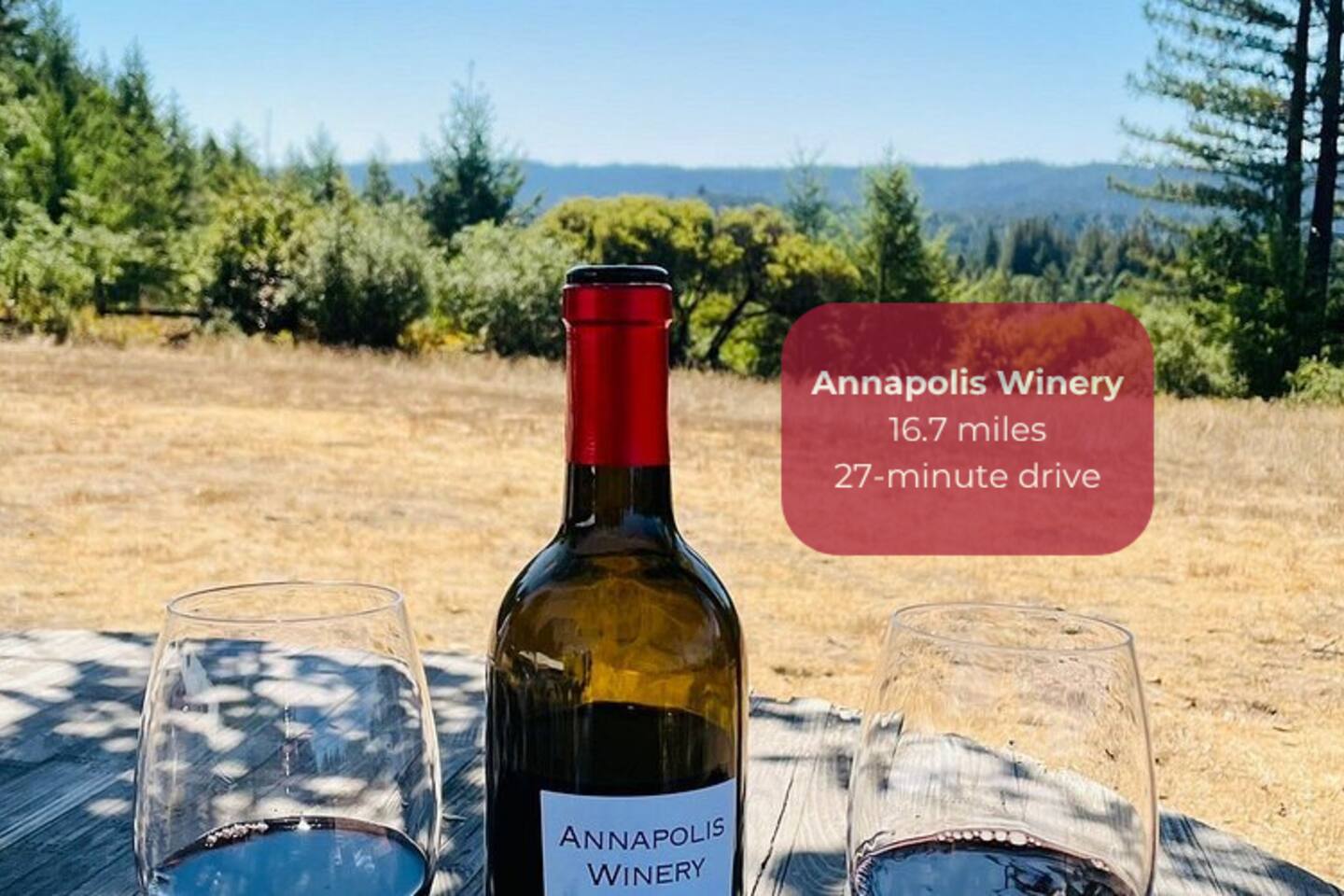 A hidden gem for laid-back tastings surrounded by peaceful redwoods.