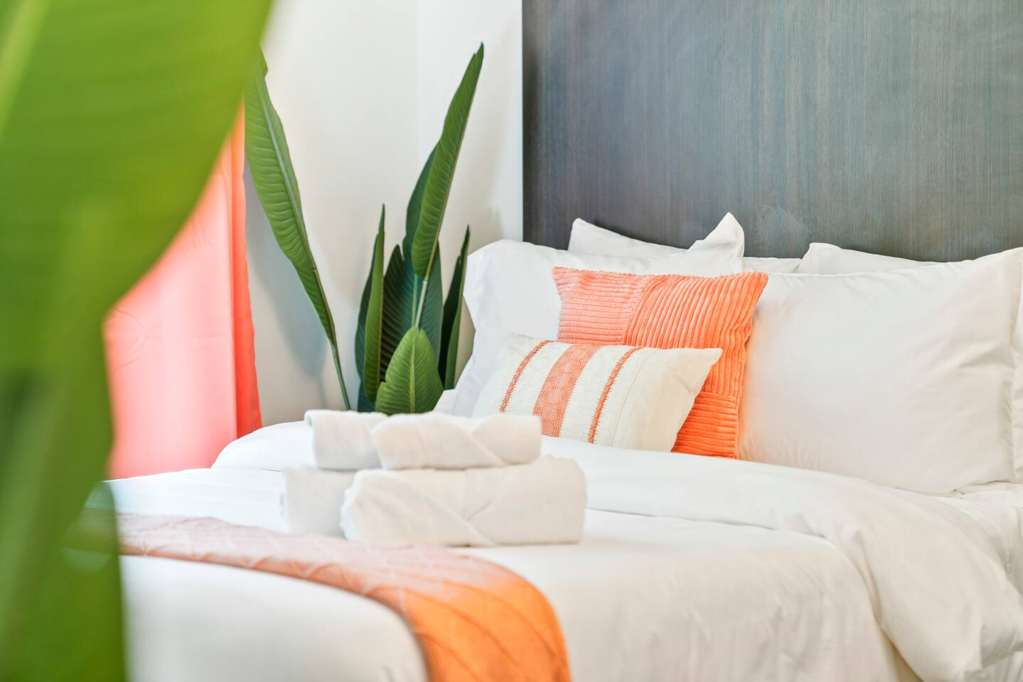 {Coral Cove} ~Beachside ~ No Fees ~ Free Parking