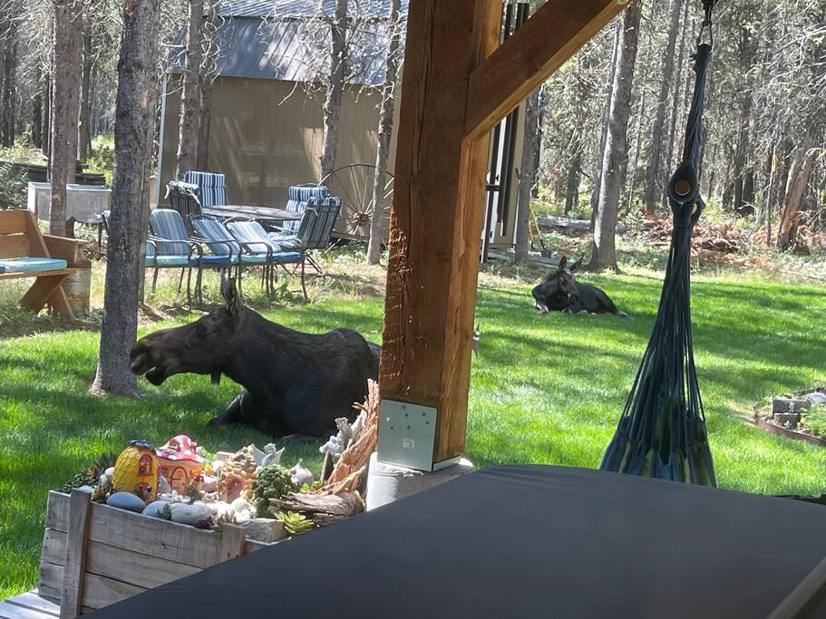 Cabin in the Woods