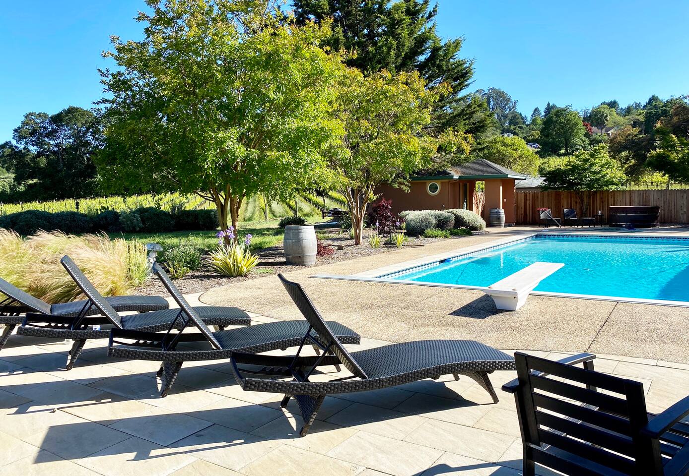 All you need: sun, breeze, vineyard, and trees