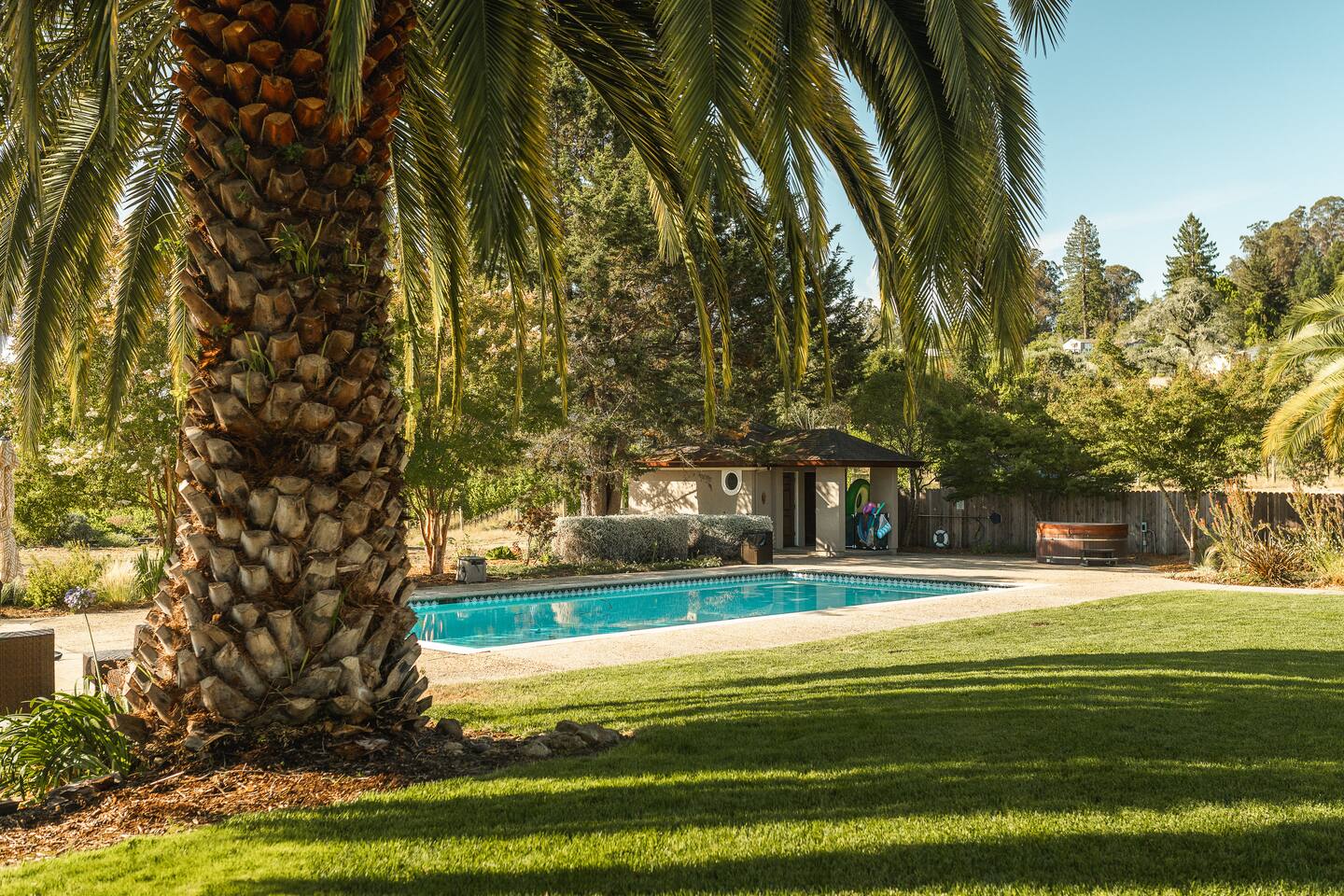 Shady palms, wide open lawn, and a sparkling pool ready for cannonballs and floaties—perfect for sunny days and giggling kids.