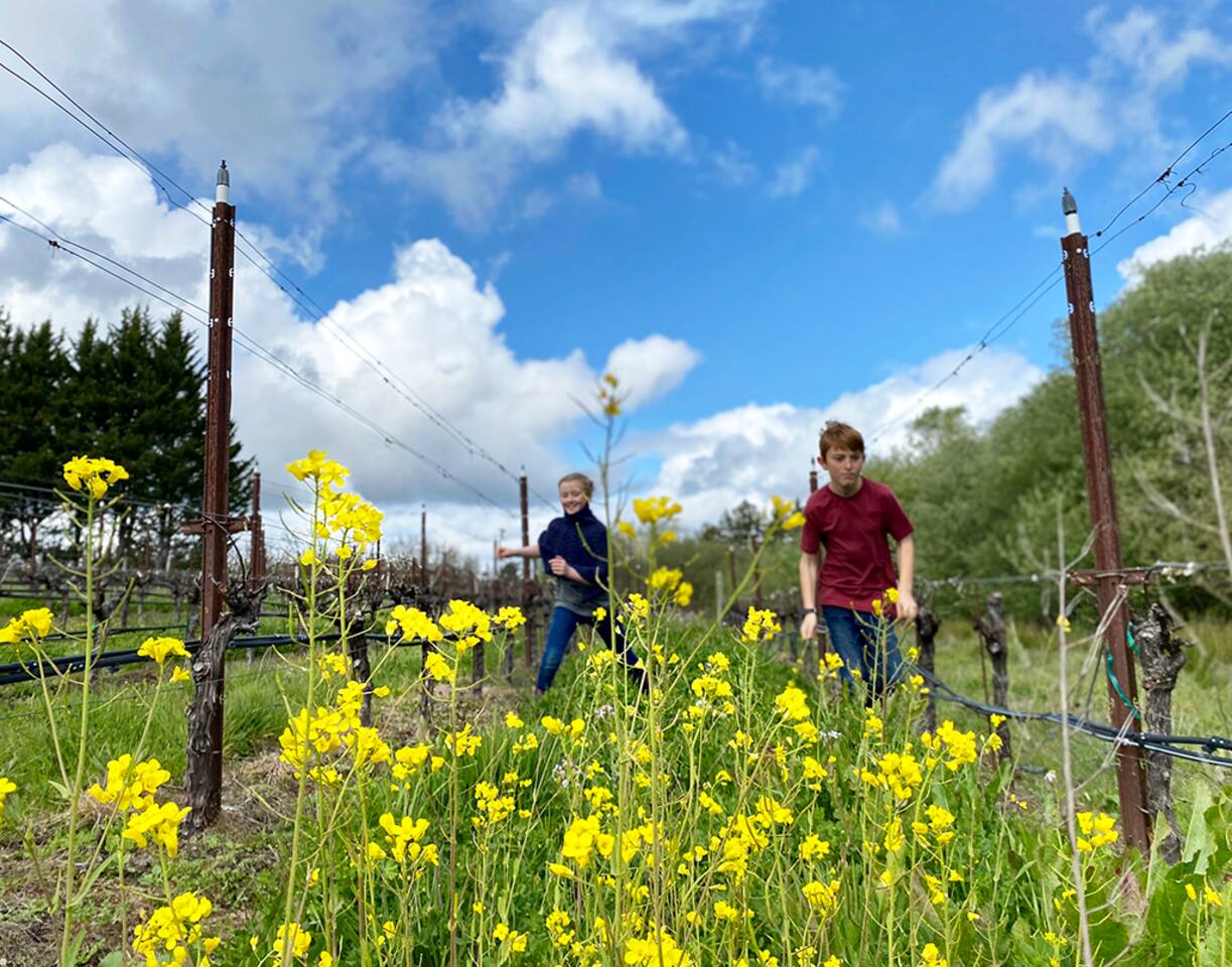 Fresh air and family walks