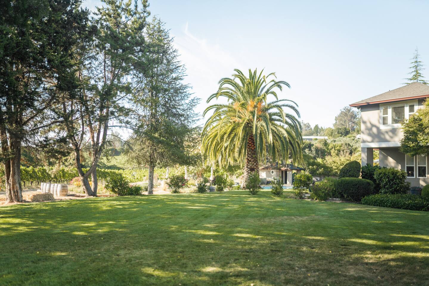 Feel the grass between your toes, toss a frisbee, or just lay back and watch the shadows dance across the lawn.