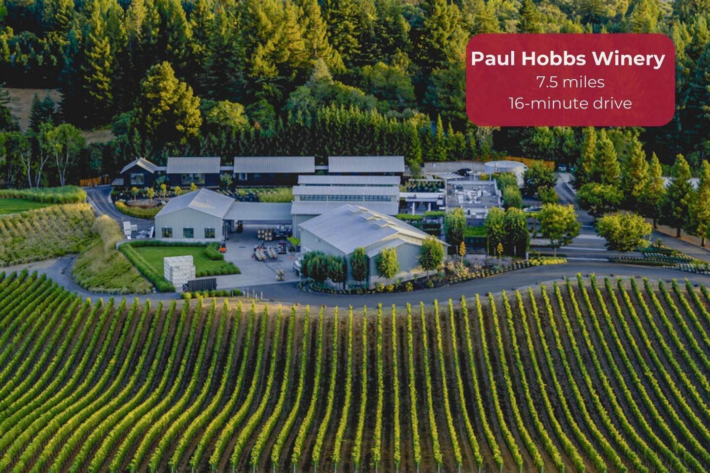 Bold wines. Sleek design. Zero pretense.