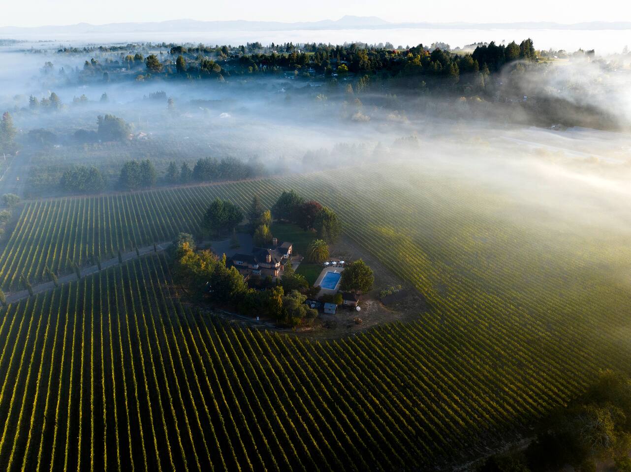 Feel the crunch of gravel beneath your feet and the breeze brushing through rows of sun-kissed vines.