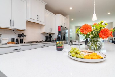 Beach House rental in Lewes, DE