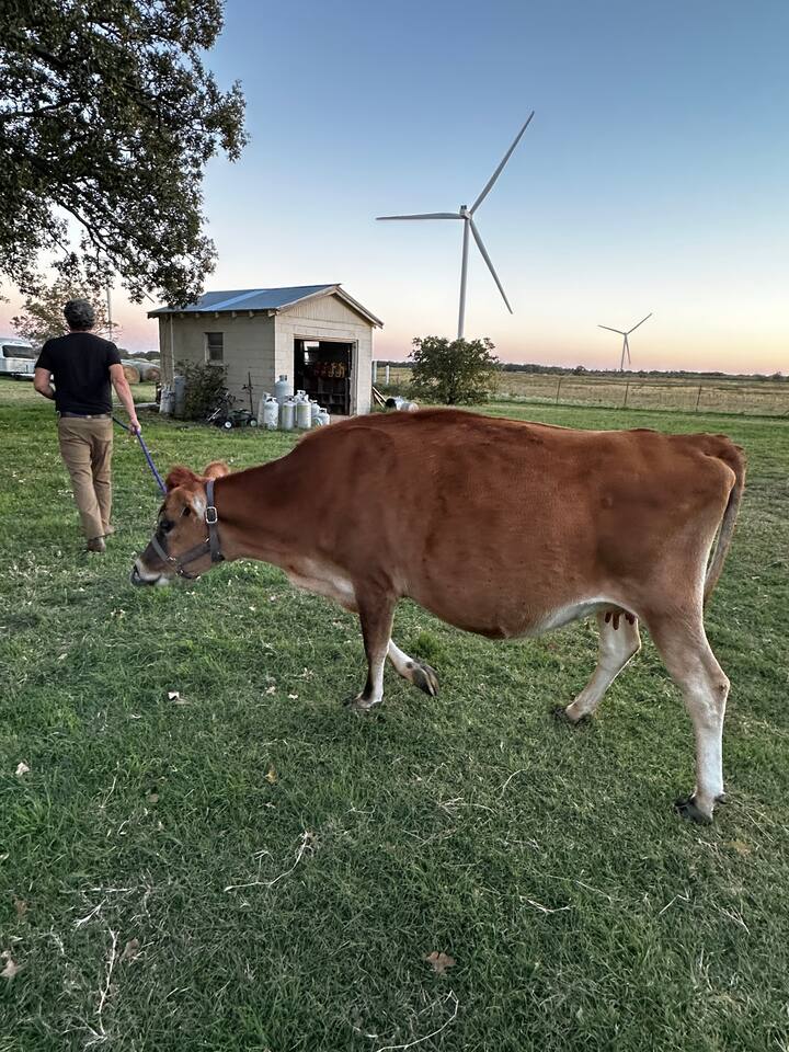 Lallygag Lane's Country Getaway - Holiday Home