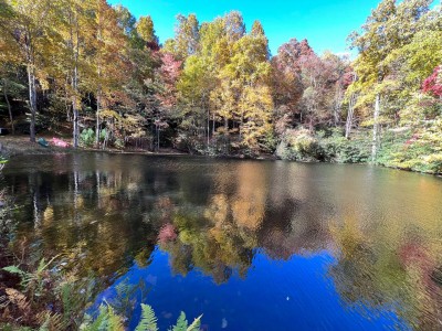 Take some time to hike down to the spring fed mountain pond.