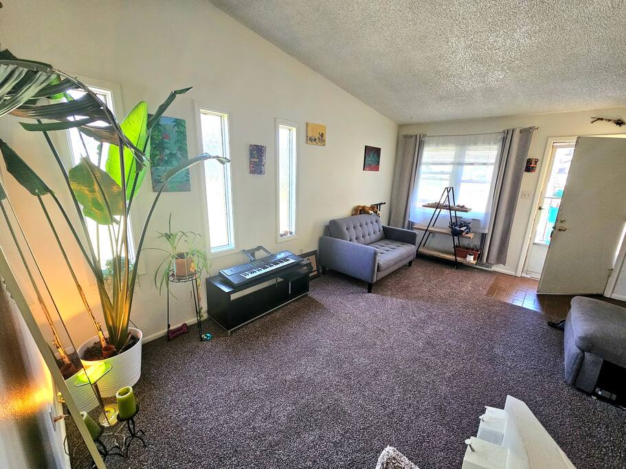 Tree house room