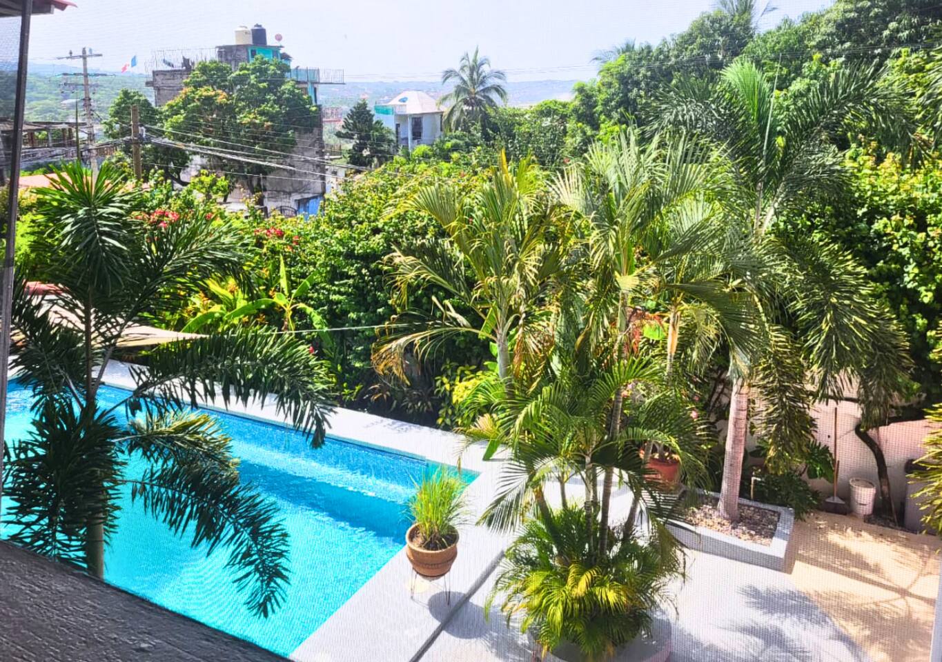 Casa Cactus | Acogedor Estudio con Jardín y Alberca