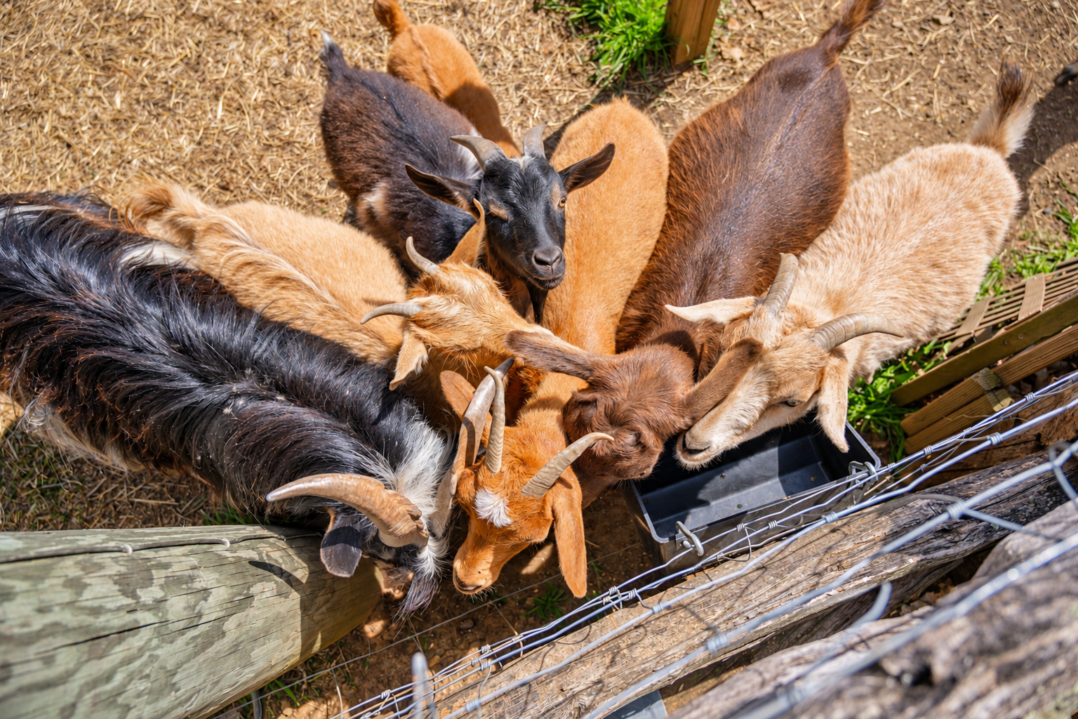 The crew gets very excited at snack time!