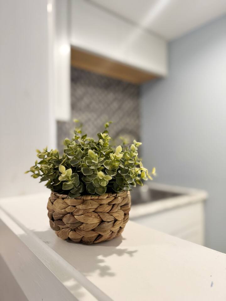 Cozy One-Bedroom Studio in downtown EVV photo 5