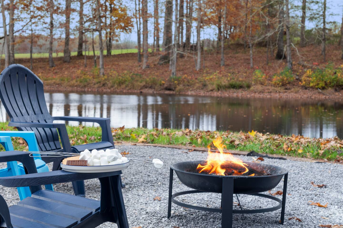 Cloudland Canyon | Dogs | Fishing Pond | Firepit