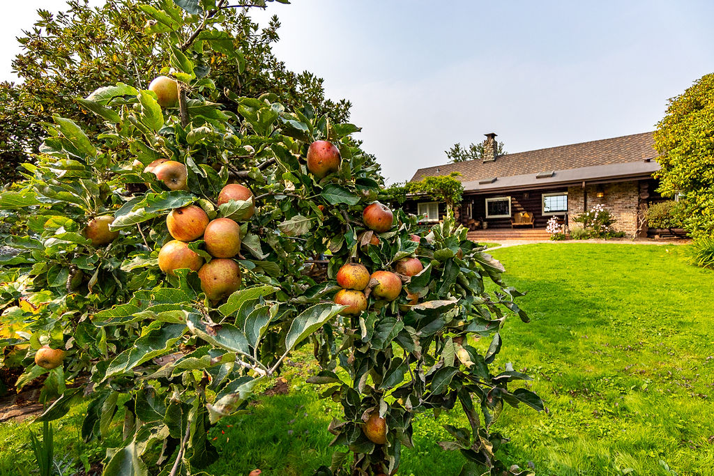 Serene Waterfront Escape w/ Views & Outdoor Dining