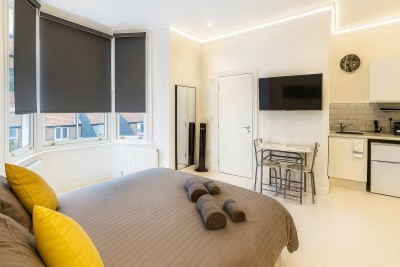 Stylish studio with cozy bed, kitchenette, TV, and bright modern design.