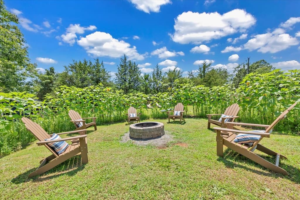 Uncle Paul's Wild & Rural Relaxing Getaway Retreat