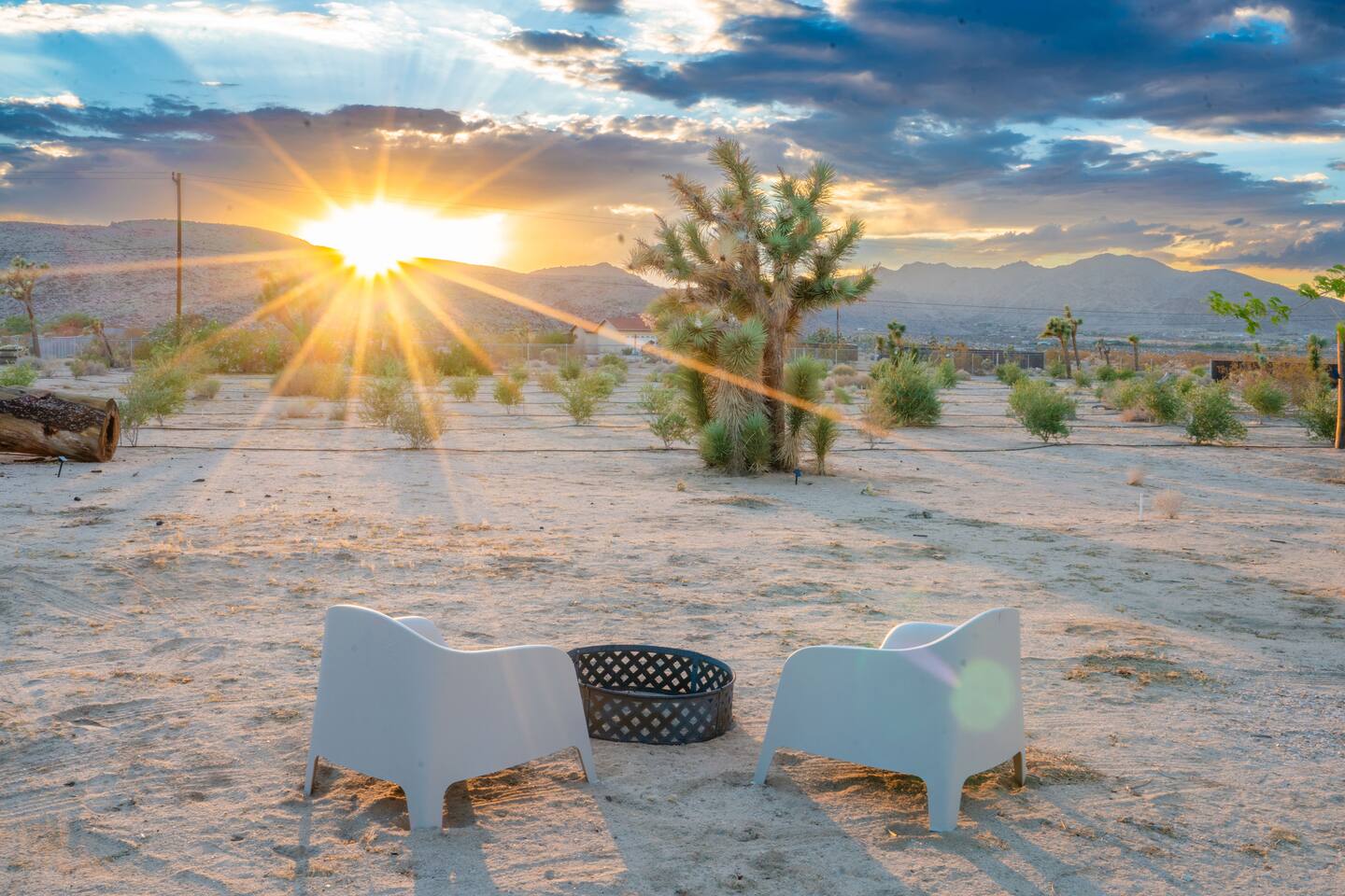 The Exotic Desert Estate