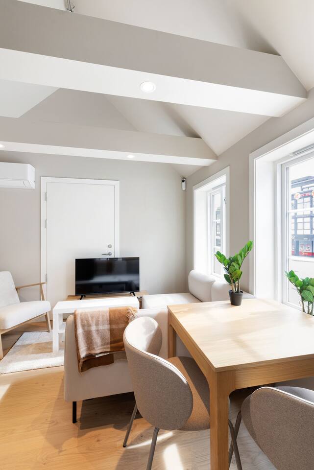 Terrace & A/C | Historic building | City center