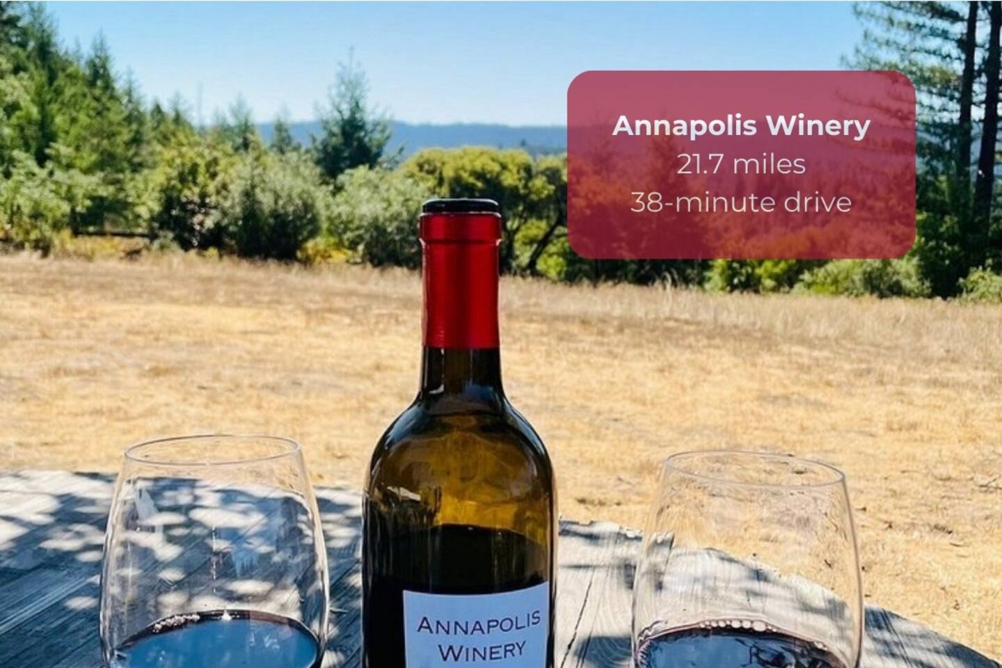 Discover award-winning wines at Annapolis Winery.