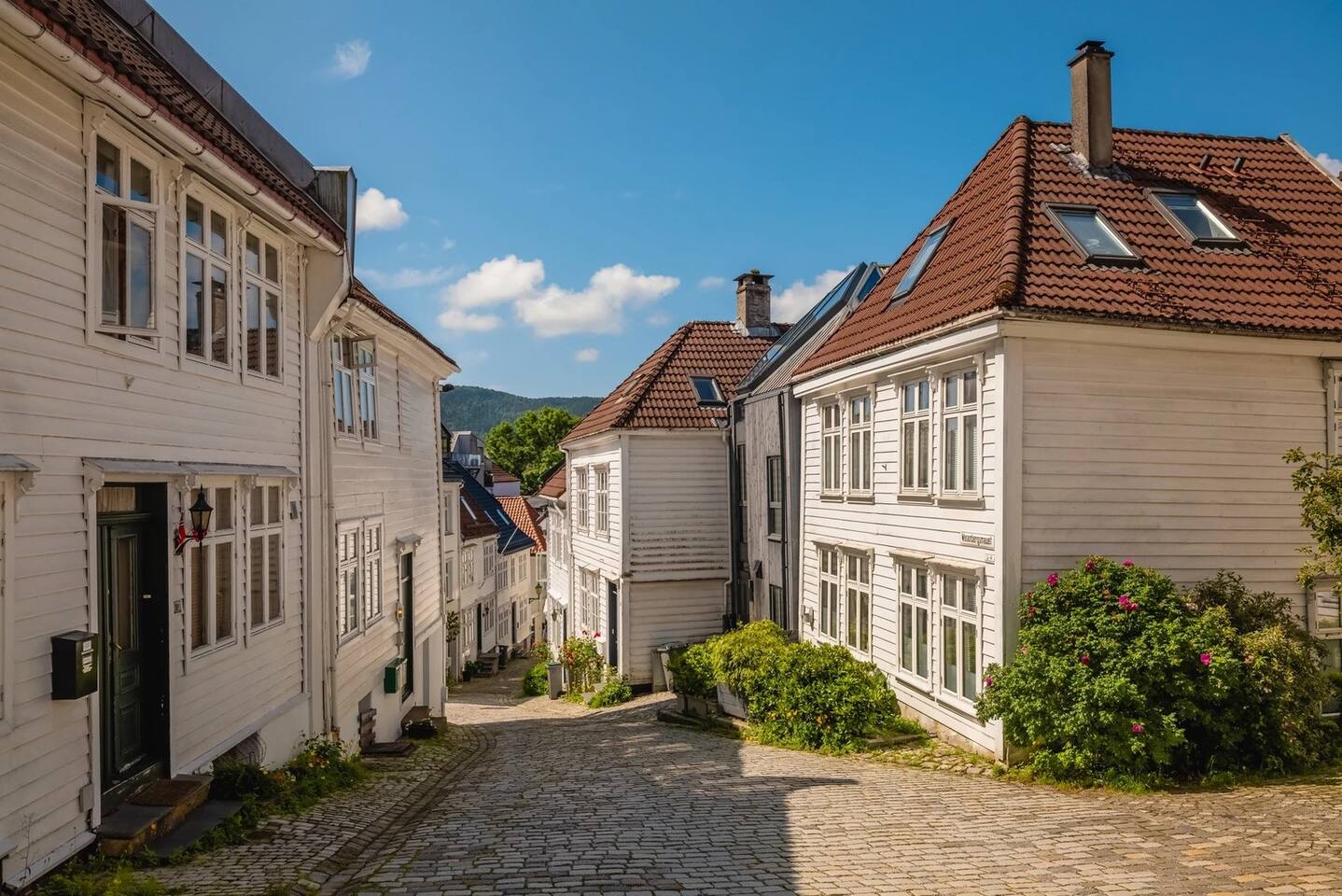 Modern & Historic 6-Bedroom Apartment Bryggen