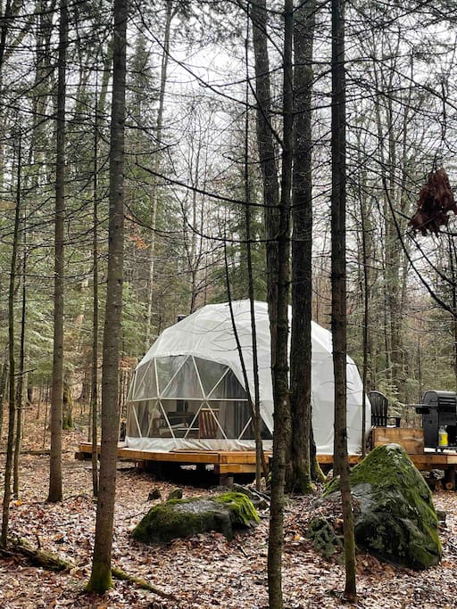 Forest Retreat - The Canopy - Dome in the Forest