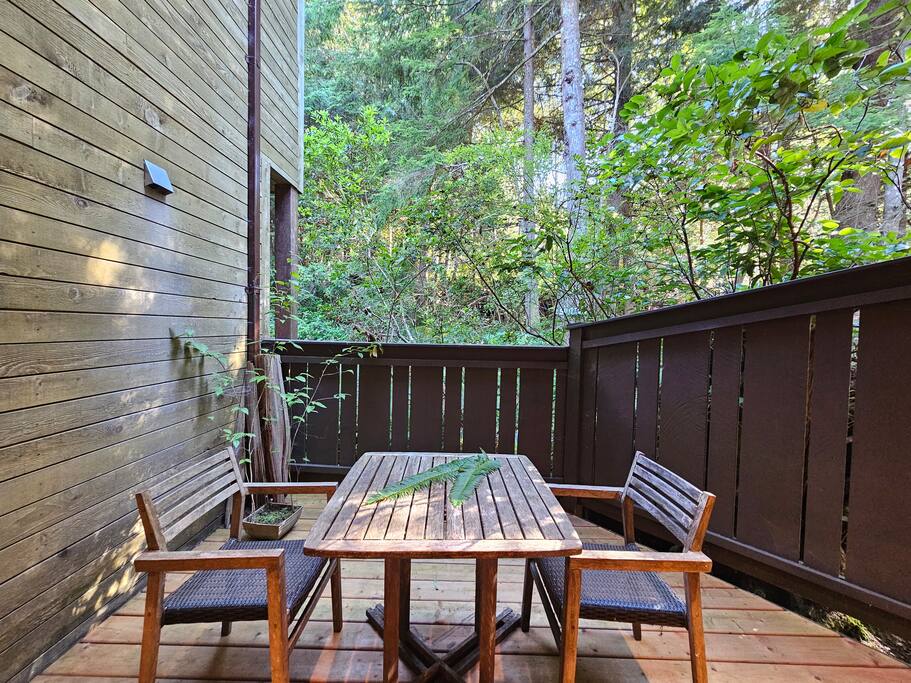 Views of Spring Cove! • Spring Cove Shelter