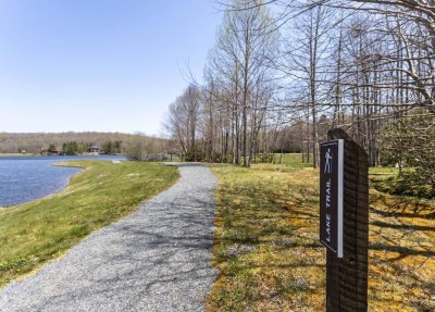 5BR, 4000 sq ft Luxury Cabin w/ Covered Fireplace! photo 8