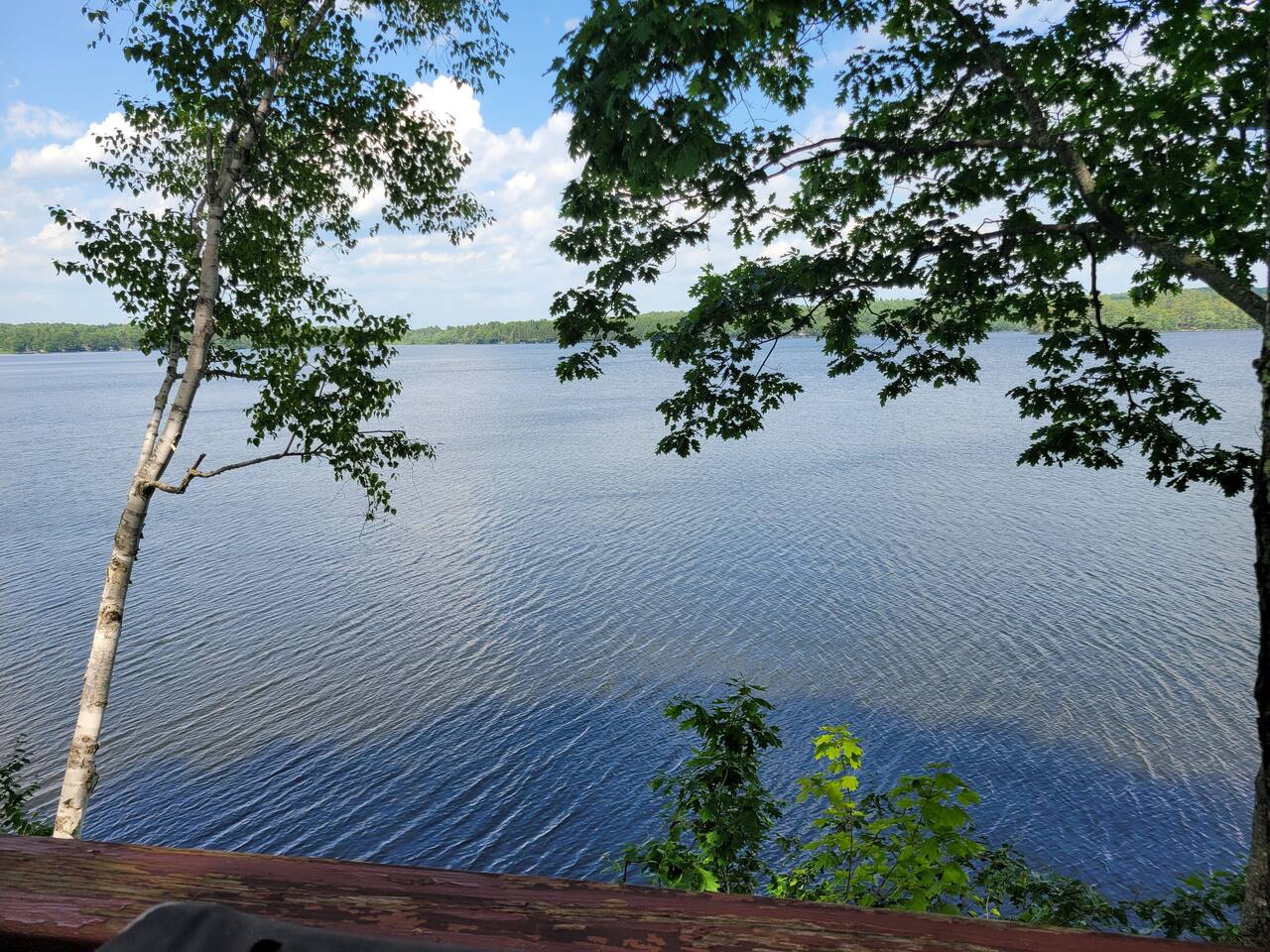Lakefront Gem HugePorch Secluded - Holiday Home