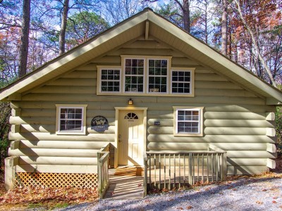 Deer Ridge Cabin tucked into the trees near Helen, GA