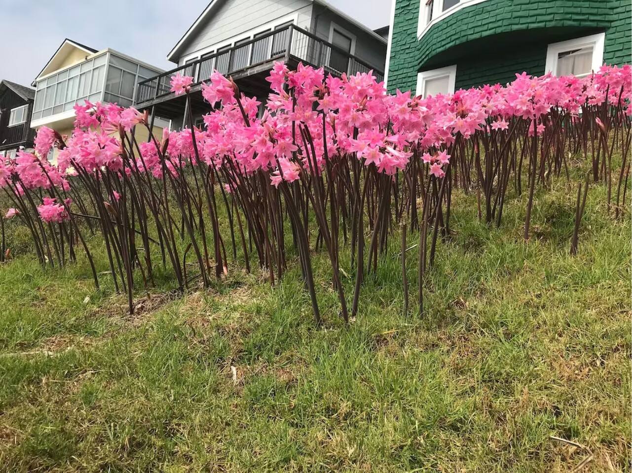  . . . down in the old fishing village		