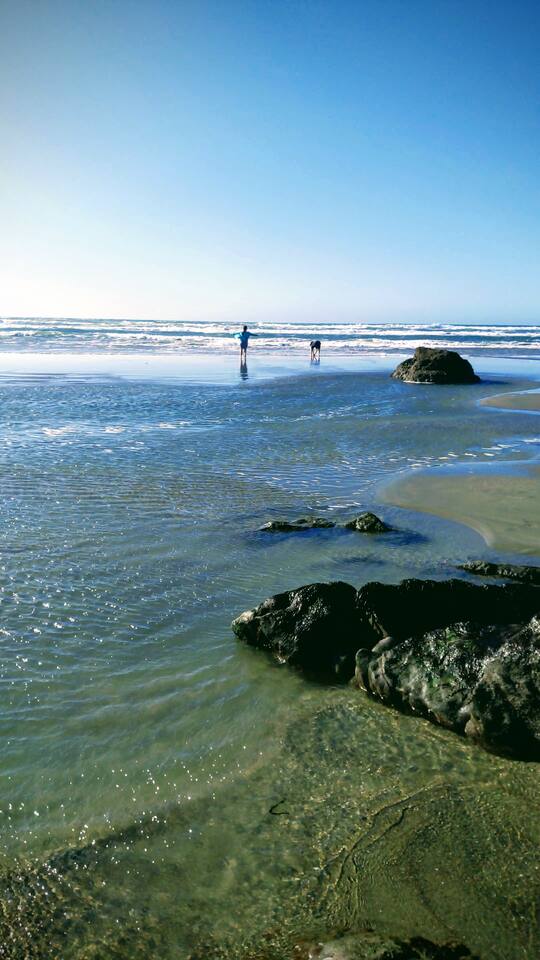 Low tide beach walk	