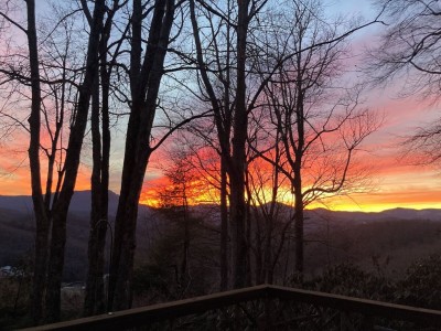 Charming 3BR Wooded Cabin Near Boone+ Blowing Rock photo 5