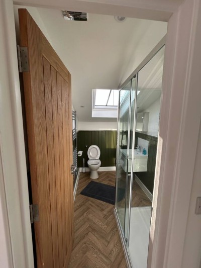 Skylit bathroom with walk-in shower, wood floors, and modern charm.