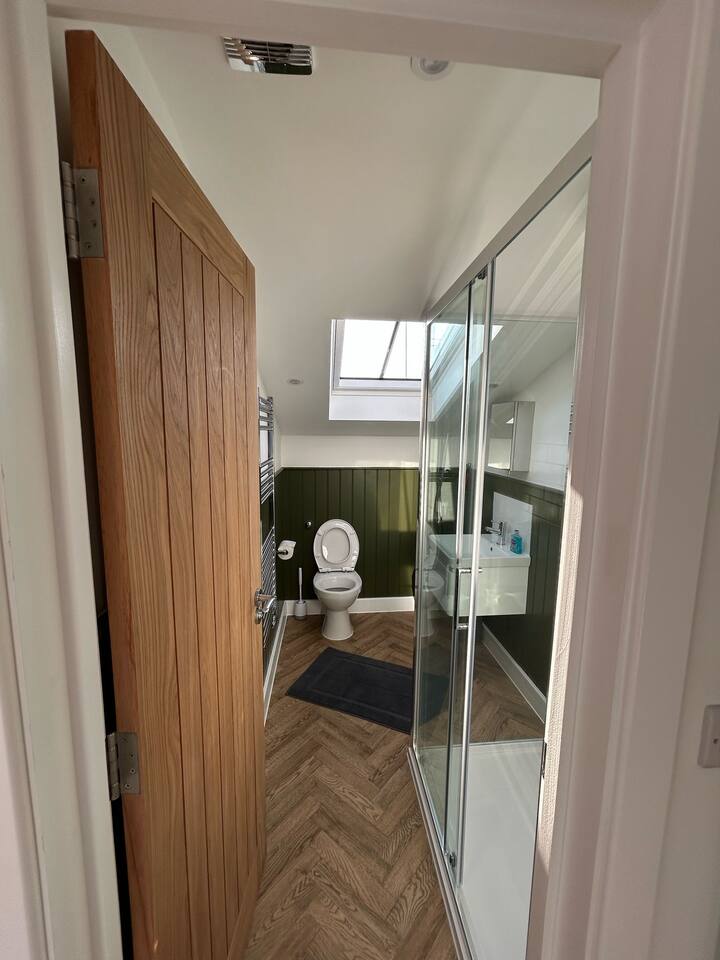 Skylit bathroom with walk-in shower, wood floors, and modern charm.