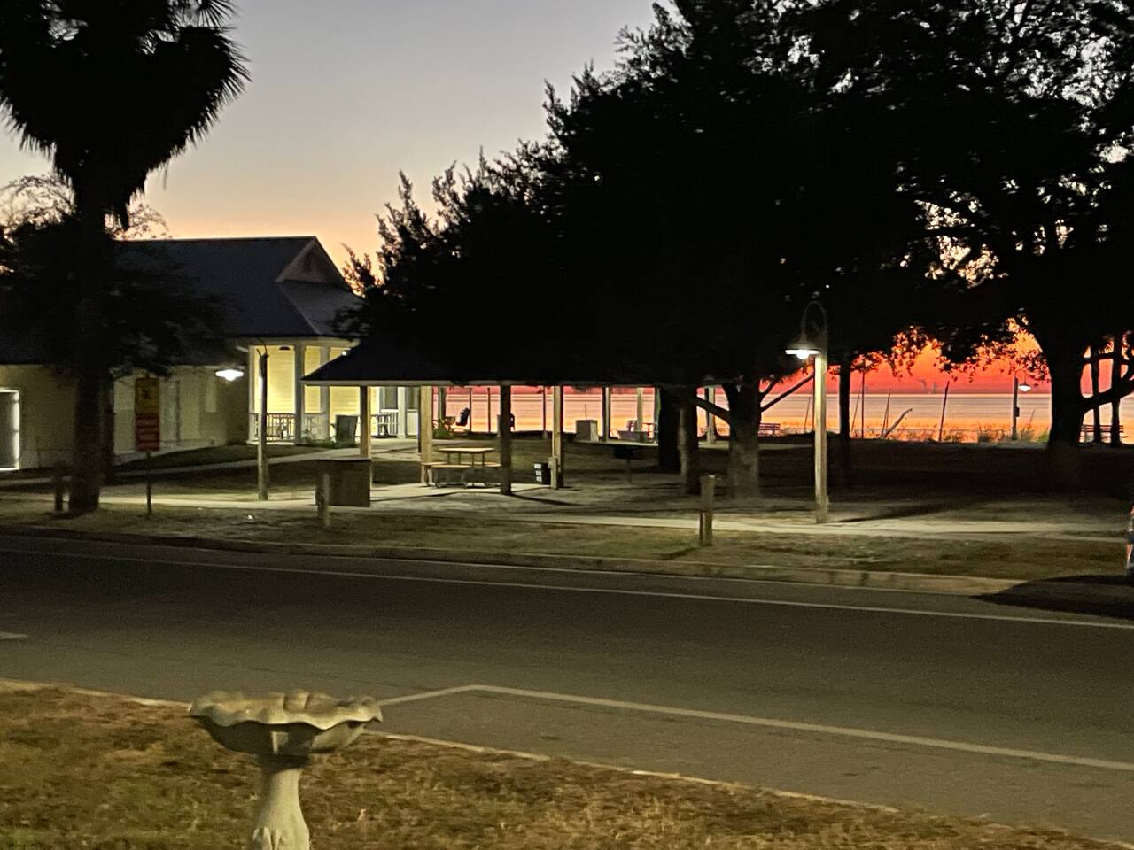 Cedar Key Turtle 132