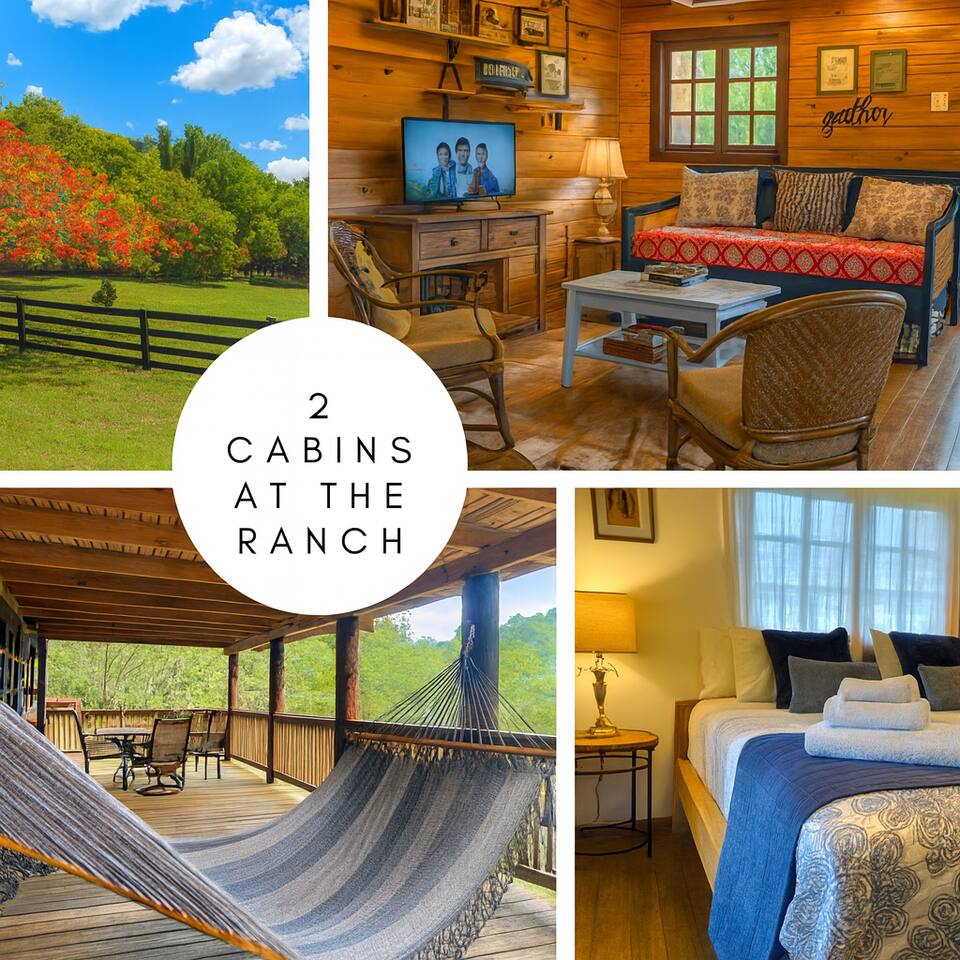 2 Nature Cabins Group Escape, Animals, Trails