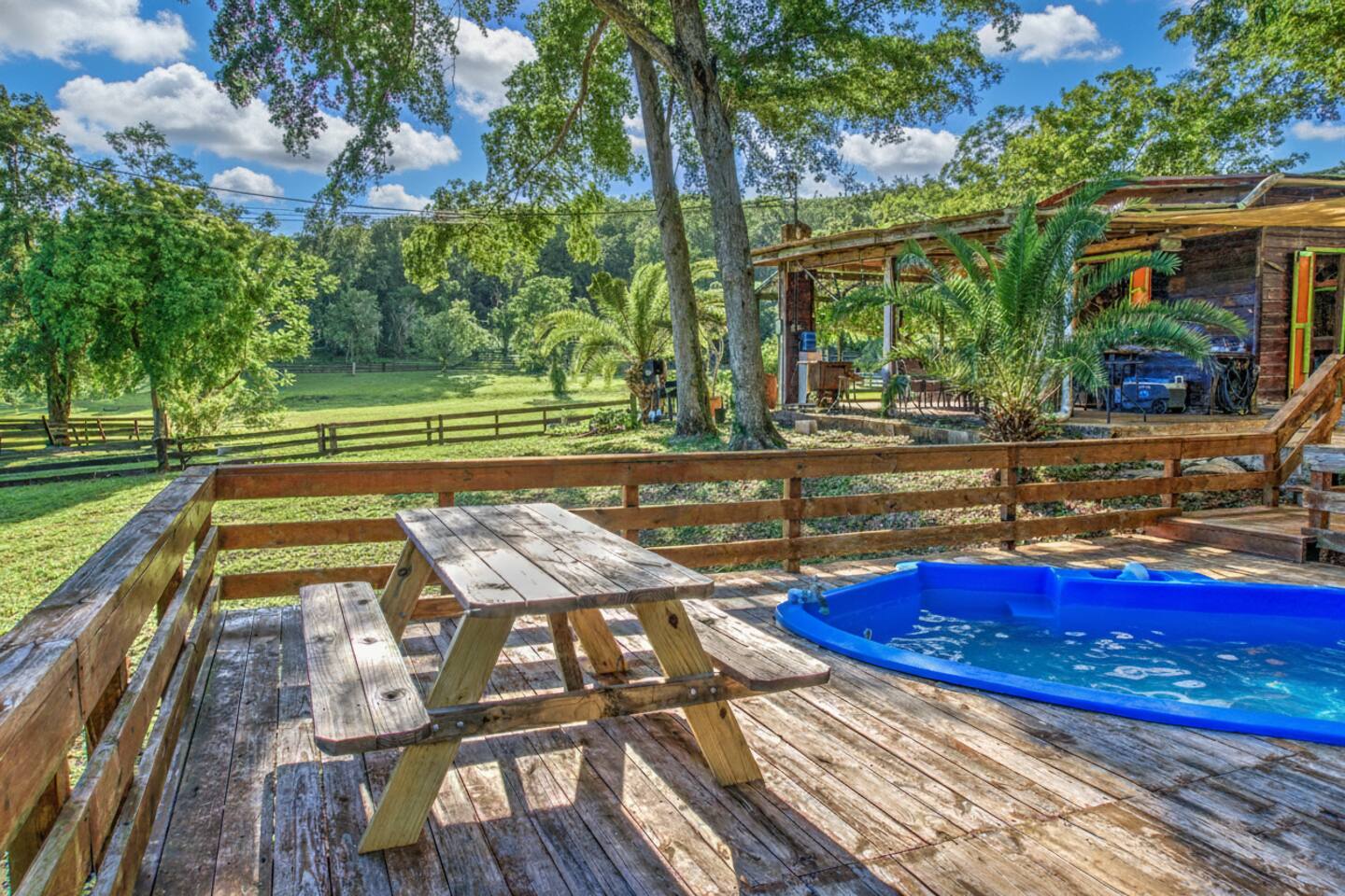 Private Rustic Cabin with Pool Ranch Experience