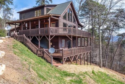 Mistletoe Cabin rental in Murphy