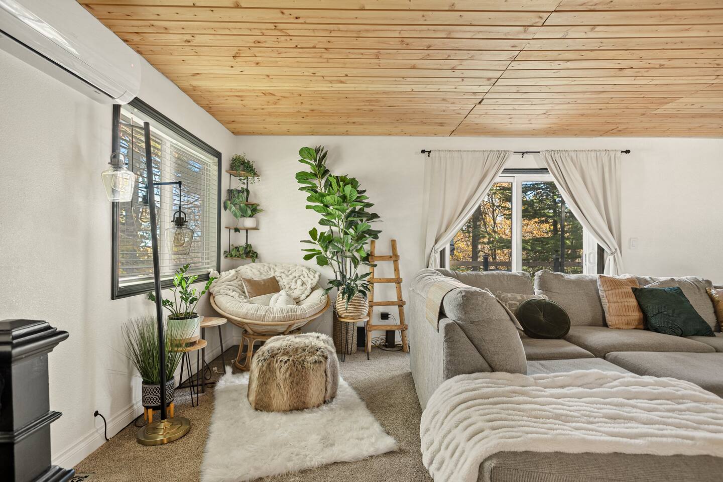 Evergreen Winter Escape | Pine Views | Cozy Fire