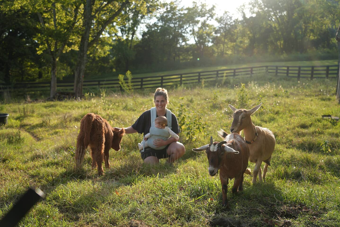 Franklin Farm Cottage | Between Leipers & Franklin